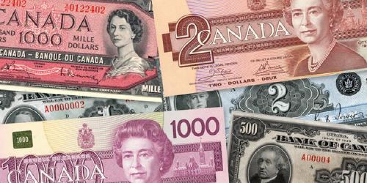 NDP follow the money – Cullen, Bachrach and Horgan